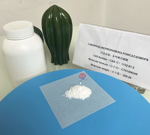 Latest company news about MOPS 缓冲液用于体外培养人星形胶质细胞