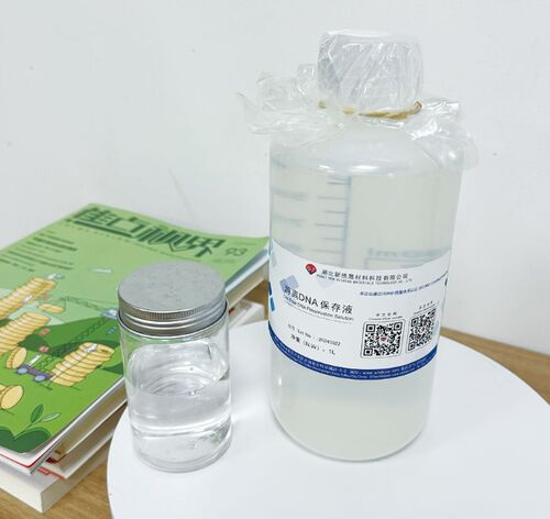 Latest company news about Δωρεάν διάλυμα διατήρησης του DNA: βασική υποστήριξη για την έγκαιρη ανίχνευση των όγκων